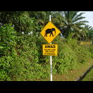 Leider haben wir auch heute keinen Elefanten gesehen